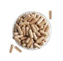 Load image into Gallery viewer, Organic Grass-Fed Beef Kidney - Natural Thyroid Support I 160 Capsules