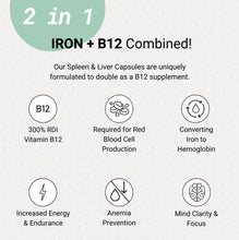 Load image into Gallery viewer, Organic Grass-Fed Beef Liver & Spleen I 160 Capsules