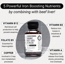 Load image into Gallery viewer, Organic Grass-Fed Beef Liver & Spleen I 160 Capsules