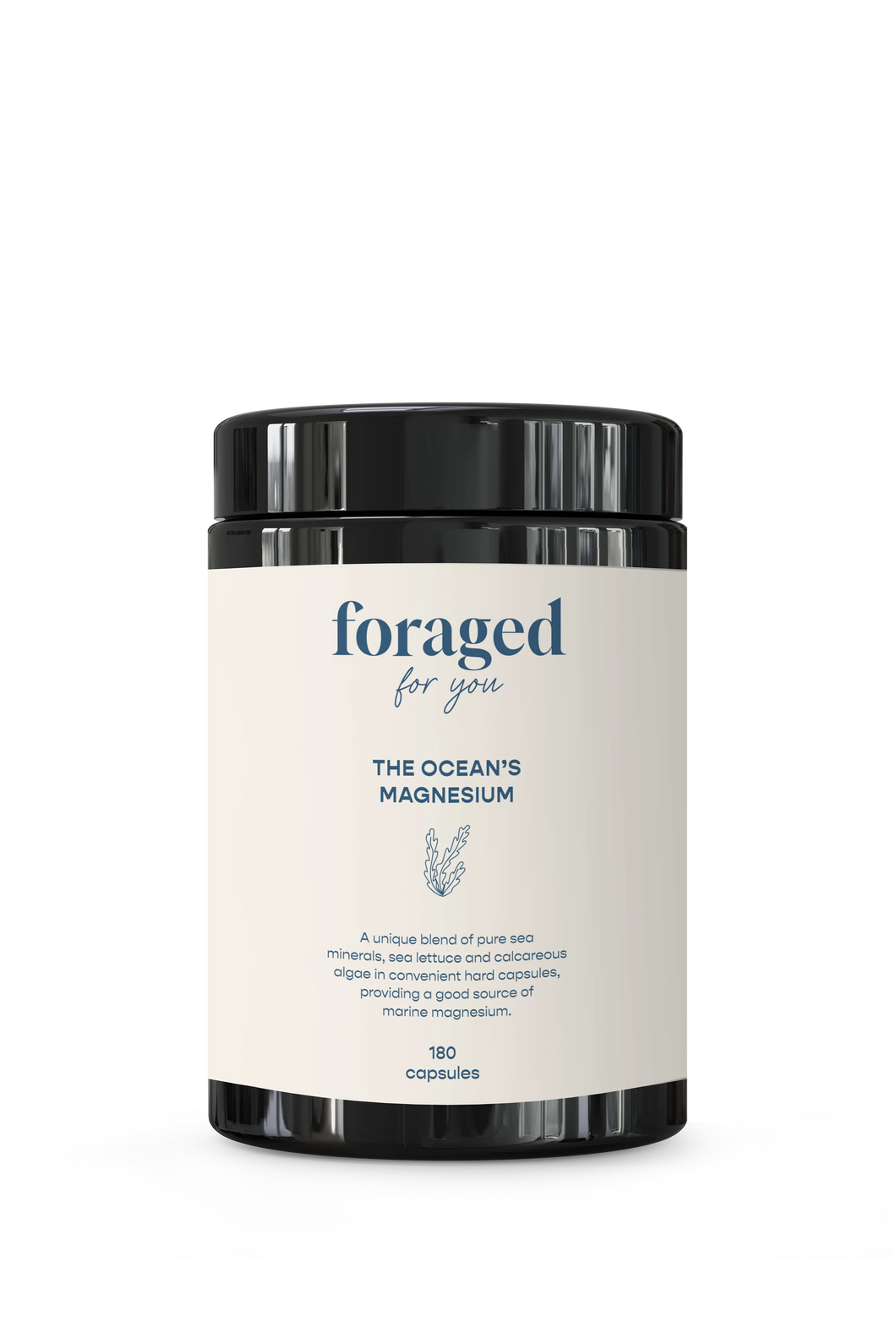The Oceans Magnesium